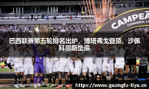 巴西联赛第五轮排名出炉，博塔弗戈登顶，沙佩科恩斯垫底